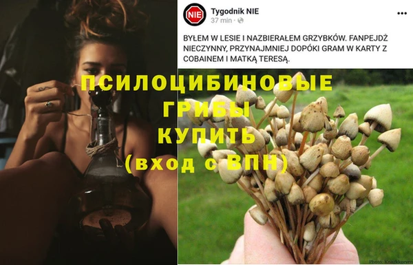 гидропоника Каменногорск