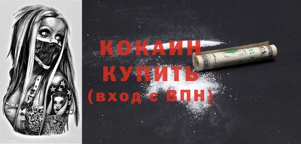 соль ск Инсар