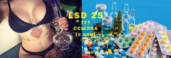 гидропоника Каменногорск